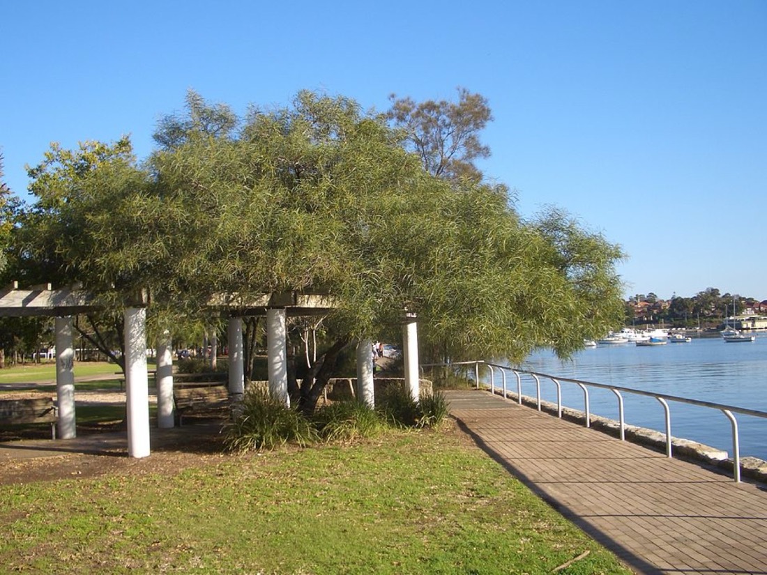 Lilyfield NSW