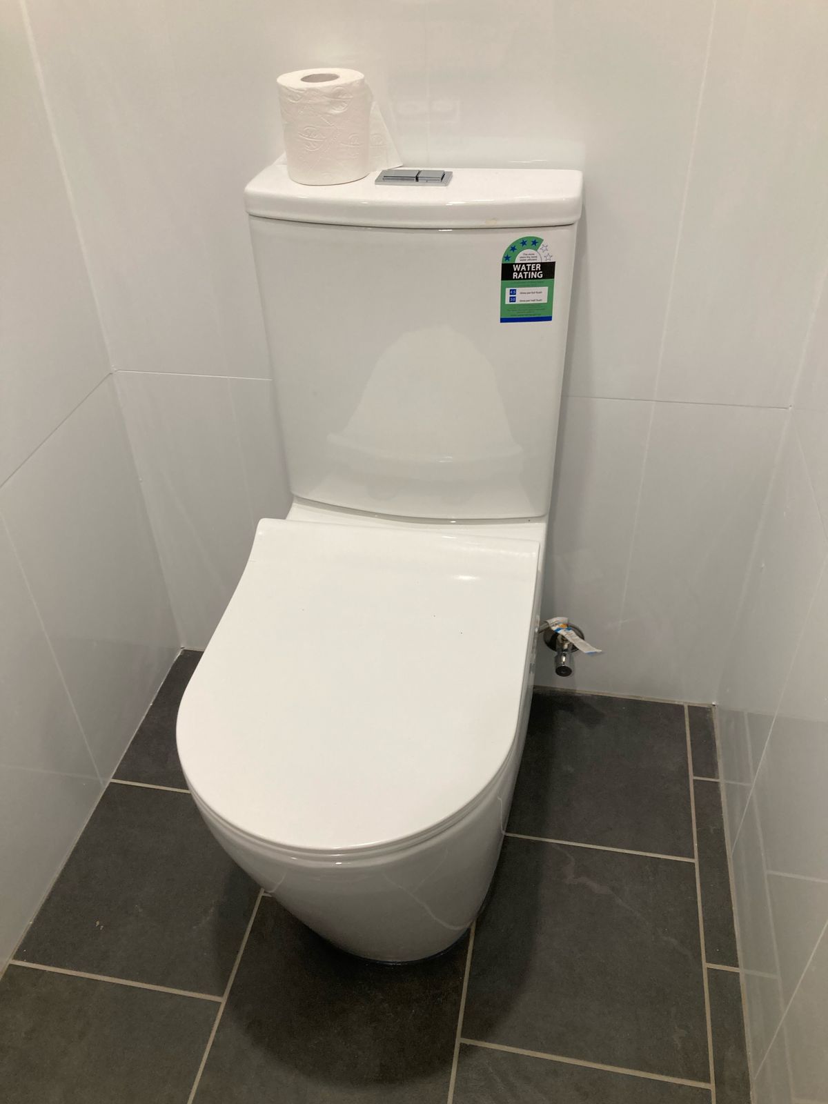 Newly installed back-to-wall toilet suite